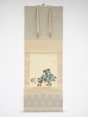 西村五雲筆　椿小禽図　肉筆絹本掛軸（西村卓三箱書・二重箱）